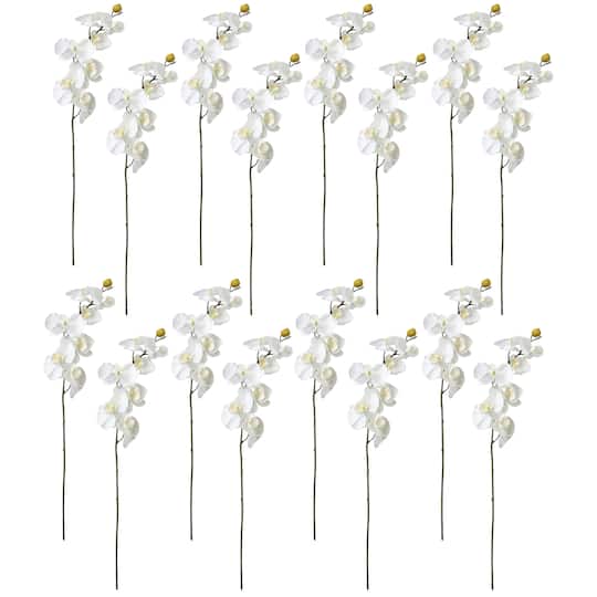 16 Pack: White Moth Orchid Stem by Ashland®